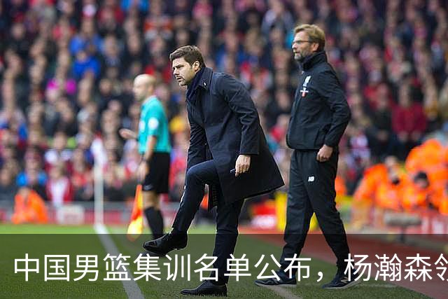 中国男篮集训名单公布，杨瀚森领衔 赵睿、周琦、张镇麟三悍将缺席